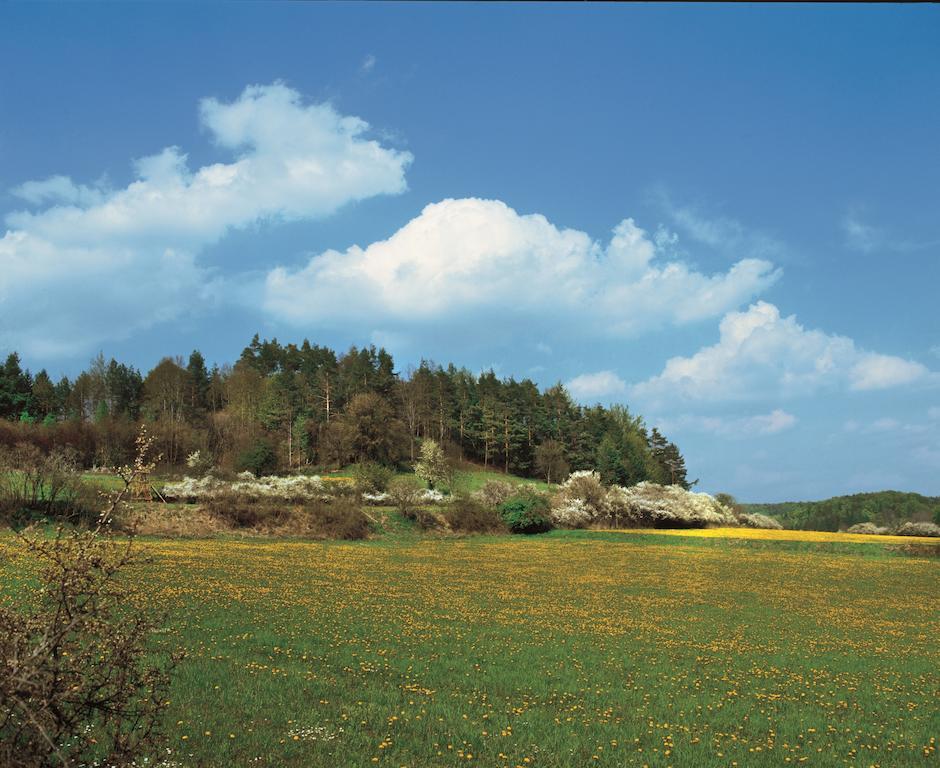 Gasthof Hotel Reif Königstein in der Oberpfalz Zewnętrze zdjęcie
